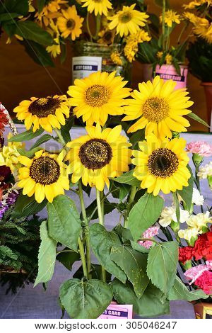 Kodaikanal, Tamilnadu, India - June 2, 2019: The 58Th Flower Show In Kodaikanal