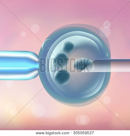 In Vitro Fertilization Ivf, The Egg, Ovum, Pipette And Pipe Horizontal, Reproduction In Humans Illus