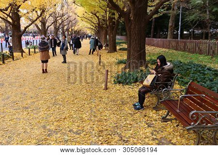 Tokyo, Japan - November 30, 2016: People Celebrate Ginkgo Avenue Autumn Foliage In Tokyo, Japan. Ich