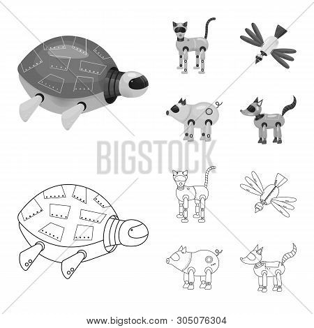Vector Design Of Toy And Science Symbol. Collection Of Toy And Toy Vector Icon For Stock.