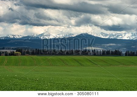 Dramatic Morning Scene Of Green Meadow With Simetrice Spaced Roads, Mountain Hills. Spectacular Summ