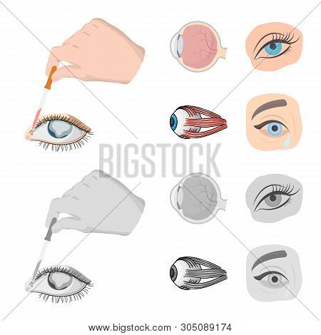 Vector Illustration Of Medical And Eyeball Symbol. Set Of Medical And Optical Stock Vector Illustrat