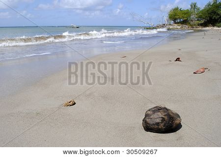 Warf Beach St. Lucia