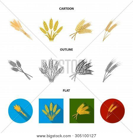 Vector Design Of Wheat And Stalk Icon. Set Of Wheat And Grain Stock Vector Illustration.