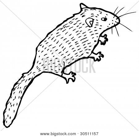 ilustração de Ratão (versão raster)