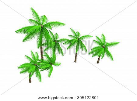 3d Rendering - A Tall Coconut Tree Isolated Over A White Background Use For Natural Poster Or Wallpa