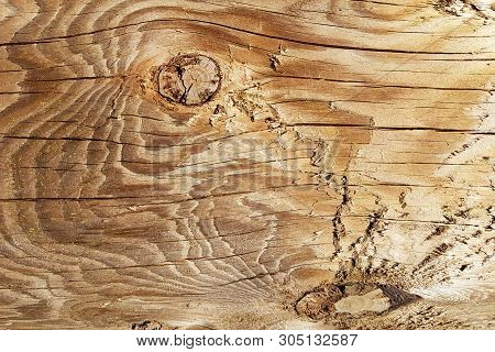 The Texture Of The Polished Cut Of A Tree In Brown Tones. The Cut Of The Board Of The Sawn Wood. Nat