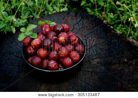 Plum Ju-li
