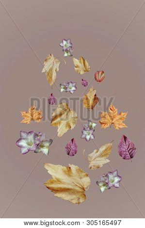Flowers And Leaves Flying In The Air