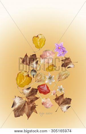 Flowers And Leaves Flying In The Air