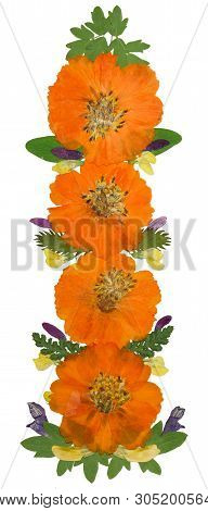 Bouquet Of Dried Pressed Flowers Isolated On White Background. For Use In Floristics, Scrapbooking A
