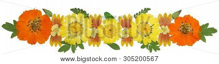 Bouquet Of Dried Pressed Flowers Isolated On White Background. For Use In Floristics, Scrapbooking A