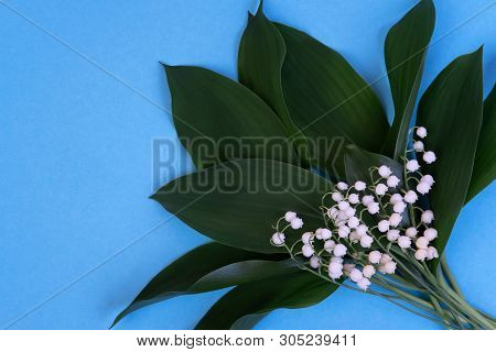 Lily Of The Valley In Vase On A Blue Background. Art Minimalism Concept. Holiday Of Lilies Of The Va
