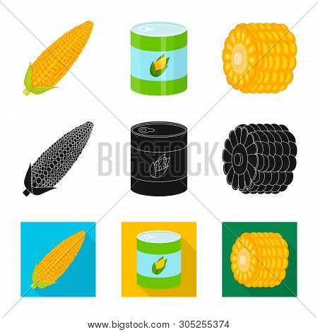 Vector Illustration Of Cornfield And Vegetable Logo. Collection Of Cornfield And Vegetarian Stock Ve