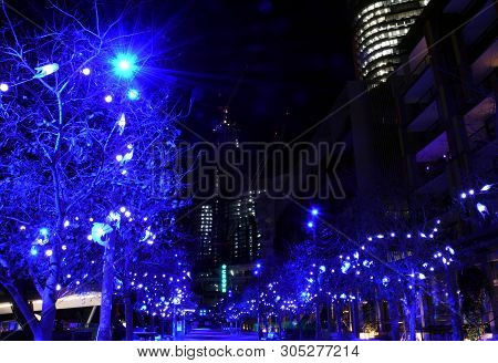 Sydney, Australia - May 27, 2019. The Trees Along Wulugul Walk In Barangaroo Illuminated By Lights. 