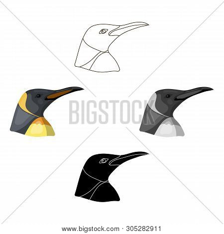 Penguin Icon In Cartoon, Black Style Isolated On White Background. Realistic Animals Symbol Stock Ve