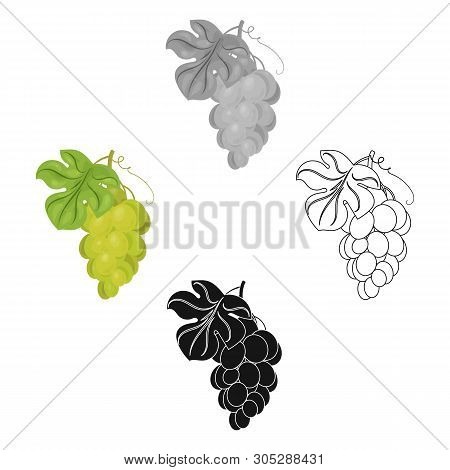 Bunch Of Yellow Grapes Icon In Cartoon, Black Style Isolated On White Background. Wine Production Sy