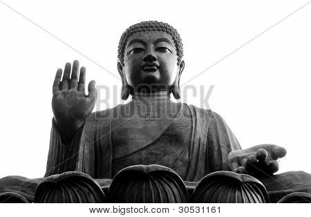 Buddy Tian Tan, Lantau, Hong Kong