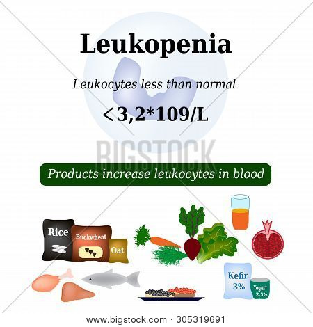 Leukopenia. Reduced Number Of Leukocytes In The Blood. Products Increase White Blood Cells. Vector I