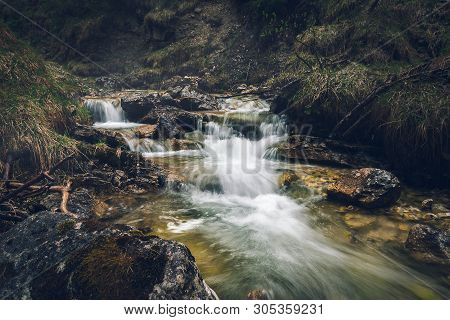 Nature Rainforest River Cascade. Stream In Forest Nature. Green Forest Stream. Nature. Stream. Natur