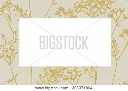 Hand Drawn Flowers And Plants Teamplate Horizontal Cards. Handwritten Abstract Text Wallpaper. Imita