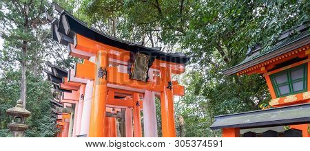 Kyoto, Japan - March. 22, 2019: Awesome And Beautiful Senbon Torii In Fushimi Inari Taisha Shrine Te
