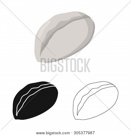 Vector Illustration Of Gedza And Khinkali Sign. Collection Of Gedza And Asian Stock Symbol For Web.