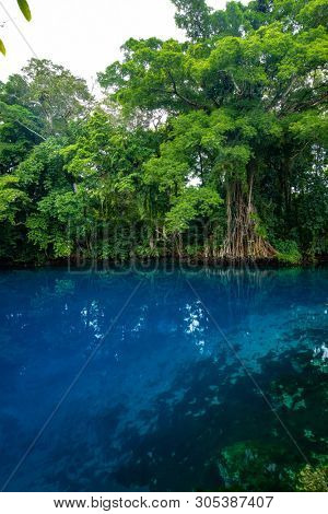 Matevulu Blue Hole, Espiritu Santa Island, Vanuatu, famous tourist destination