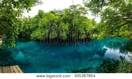 Matevulu Blue Hole, Espiritu Santa Island, Vanuatu, famous tourist destination