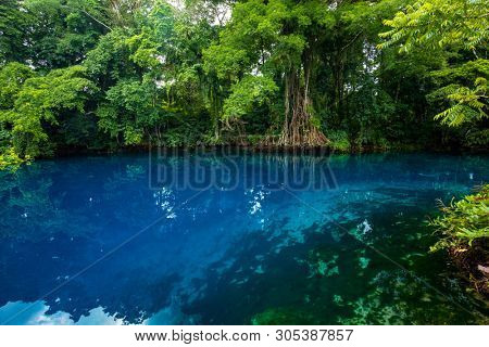 Matevulu Blue Hole, Espiritu Santa Island, Vanuatu, famous tourist destination