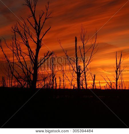 Swamp Lands On Lake Simcoe At Dusk