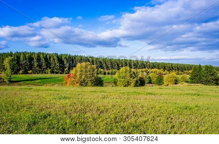 Beautiful Rustic Autumn Landscape In Russia, In Udmurtia