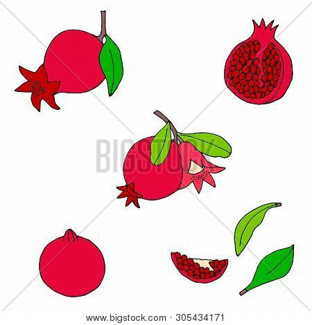 Hand Drawn Garnet Collection. Pomegranates Vector Set.