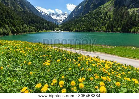 Austrian Alpine Landscape With Blooming Meadows In The Springtime. Austria, Tyrol, Stillup Lake, Zil