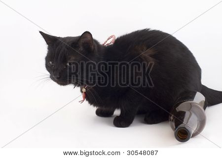 sort kat
