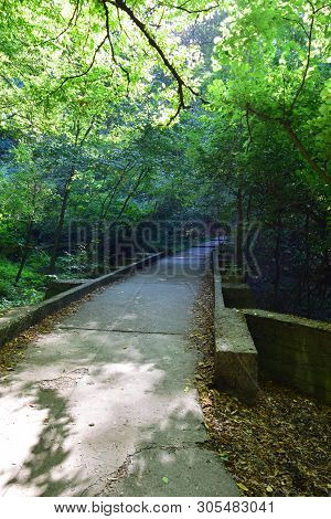Road From The Mountain For Tourism Among The Green Trees In Summer On The Mountain Kizilovka In The 