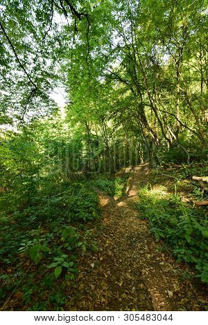 Forest Road For Tourism Among Green Trees In Summer On Kizilovka Mountain In The Foothills Of The No