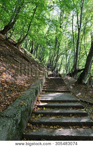 Road On The Steps For Outdoor Activities Among The Trees In The Summer On Mount Kizilovka In The Foo