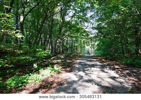 View Of The Tourist Road With Trees In Summer On Kizilovka Mountain In The Foothills Of The North Ca