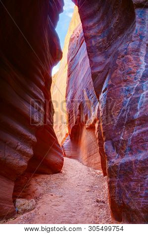 Canyon walls in Buckskin Gulch, near the Utah-Arizona border, southern Utah, United States.