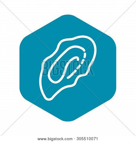 Sea Mollusc Icon. Outline Illustration Of Sea Mollusc Vector Icon For Web Design Isolated On White B