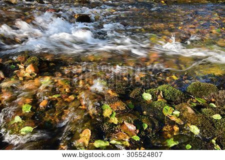 View Of The Evening Mountain Stream With Leaves And Moss Near The Karst Blue Lake With Trees In The 