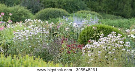 Beautiful And Well-kept Summer Park With Blossom Flowers And Fluffy Shrubs