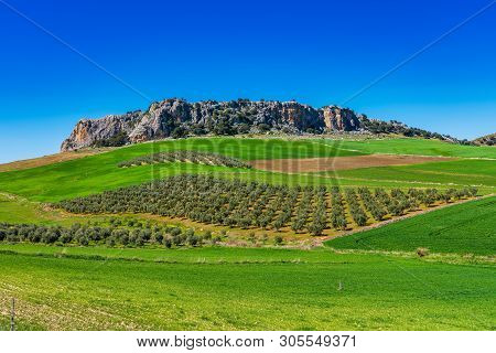 Landscape Near Cuevas Del Becerro In Province Malaga, Andalusia, Spain