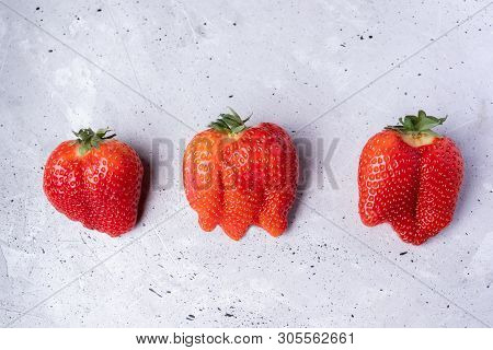 Three Ugly Strawberries On Grey Concrete Background.
