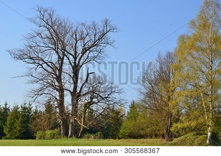 Vie Of Spring Landscape, Southern Bohemia . Czech Republic