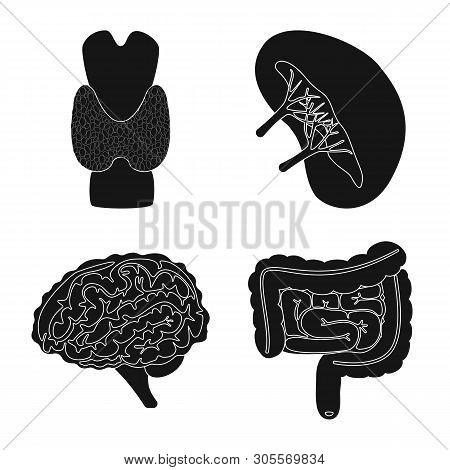 Isolated Object Of Research And Laboratory Sign. Set Of Research And Organ Stock Vector Illustration