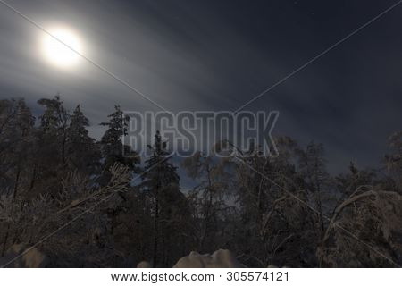 Frozen Landscape During Polar Night In Saariselka, Finland