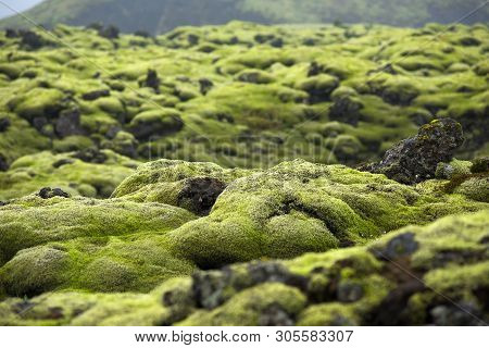 Eldhraun Lava Field In Iceland