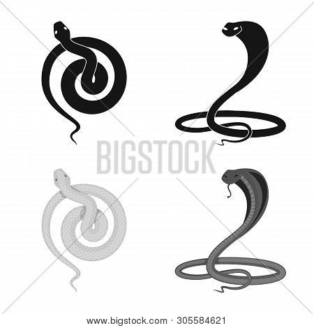 Vector Design Of Mammal And Danger Symbol. Set Of Mammal And Medicine Stock Symbol For Web.